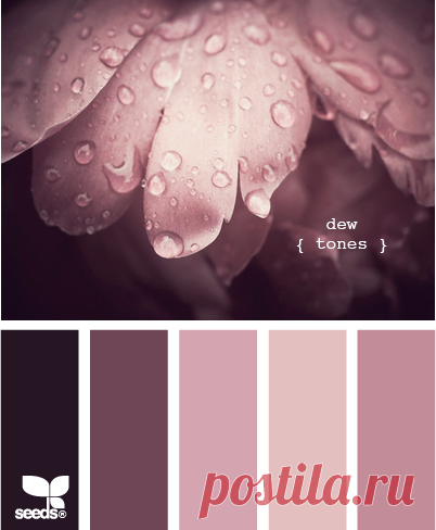 Цветы, деревья — источник вдохновения! | BepHuK собирает друзей