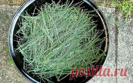 (13) Одноклассники