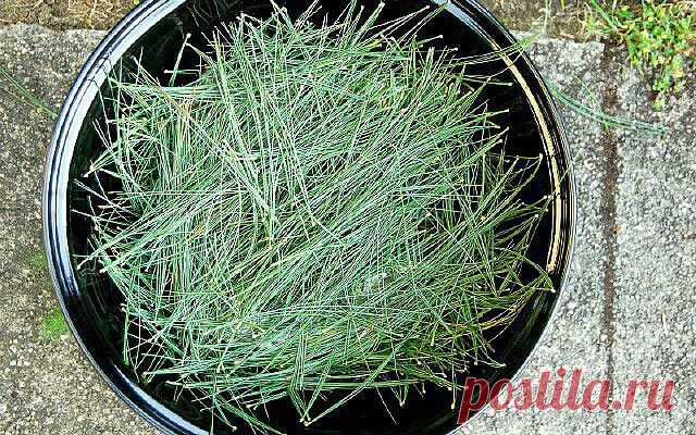 (13) Одноклассники