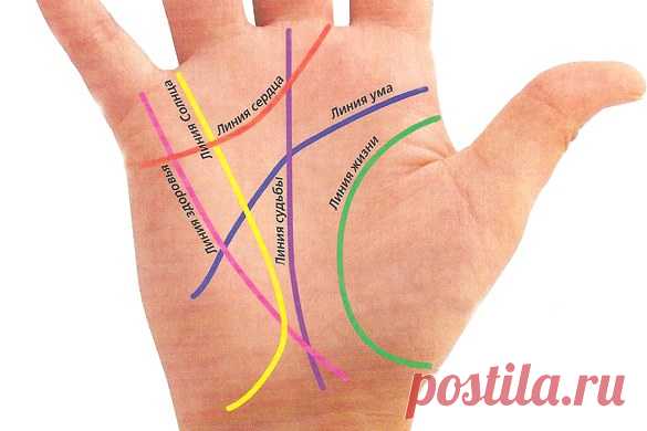 Хиромантия: линии на руке и их значение