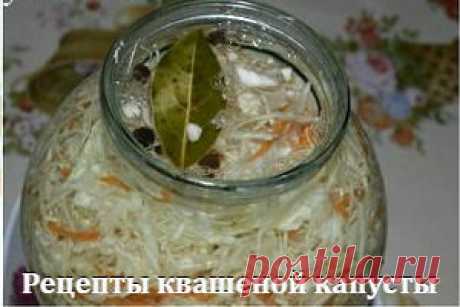 Постная тушеная капуста с черносливом - простой рецепт с фото | Народные знания от Кравченко Анатолия
