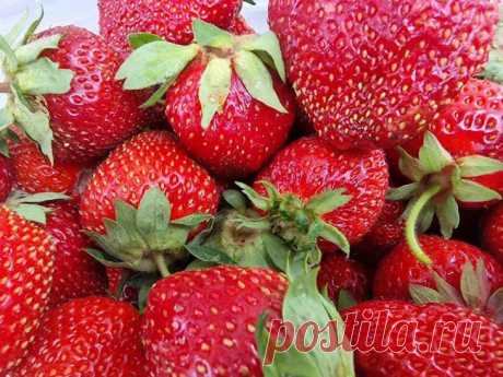 Почему соседи кривятся от вкуса вашей клубники: оказывается ягодам не хватает элементарных вещей. Посаженная в полутени или, тем более, в тени деревьев, клубника обречена на водянистость.