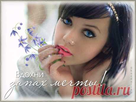Лучшая анимация рунета бесплатно