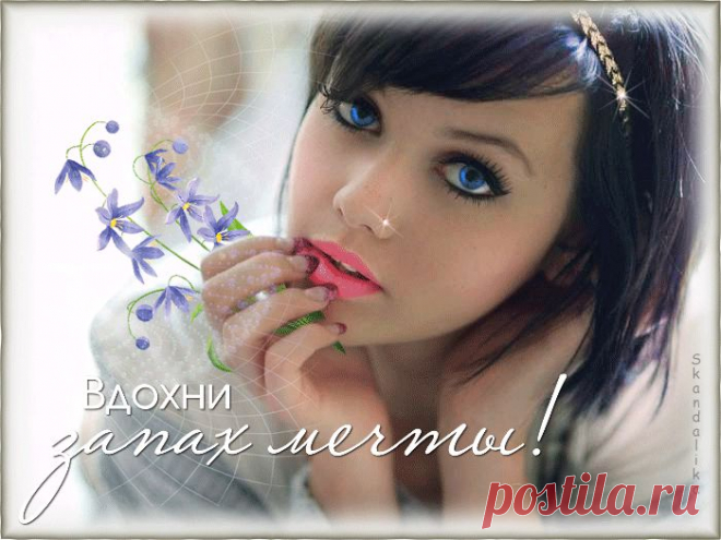 Лучшая анимация рунета бесплатно