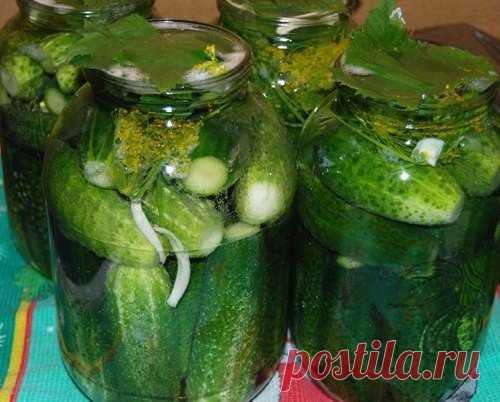  15 супер-рецептов любимых огурчиков на зиму! — Фактор Вкуса