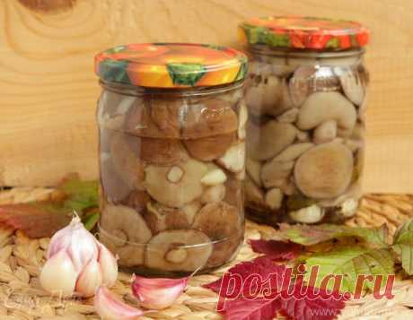 Маринованные маслята 
Непередаваемый запах и вкус даров леса!
 

Ингредиенты
 






маслята
 
2000 г



 


Маринад



вода
 
1000 г






сахар
 
2 ст. л.






соль
 
4 ч. л.






лавровый лист
 
3 г






перец душис…