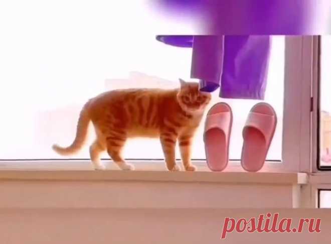 «Так как хуже уже быть не могло, стало лучше» Франц Кафка 😉😏 (см. видео!)