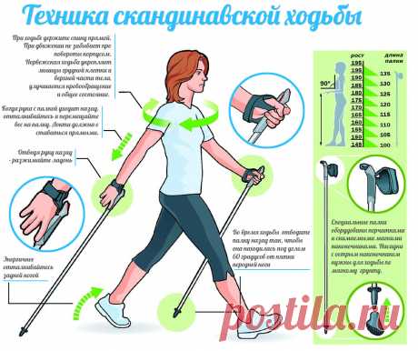 ШВЕДСКАЯ ХОДЬБА С ПАЛКАМИ: ПОЛЬЗА И ВРЕД...