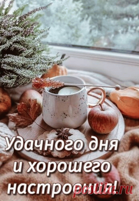 Удачного дня, приятных хлопот!
Пусть день этот будет без забот и невзгод.
Наполнится он настоящим добром,
Пусть счастьем, уютом заполнится дом. открытки удачного дня