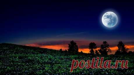 Premium Photo | Evening sky and and field at night Download this Premium Photo about Evening sky and and field at night, and discover more than 20 Million Professional Stock Photos on Freepik. #freepik #photo #darknight #midnight #nightsky