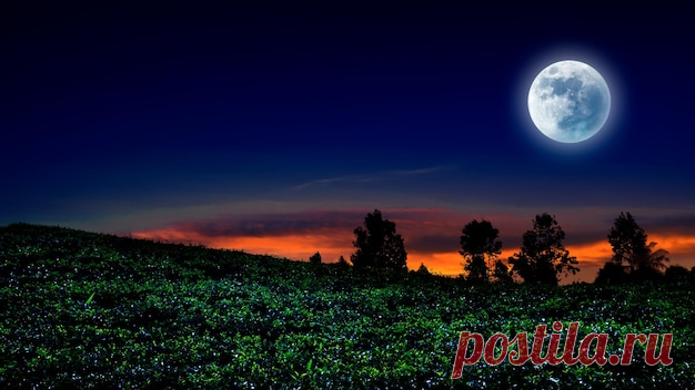 Premium Photo | Evening sky and and field at night Download this Premium Photo about Evening sky and and field at night, and discover more than 20 Million Professional Stock Photos on Freepik. #freepik #photo #darknight #midnight #nightsky