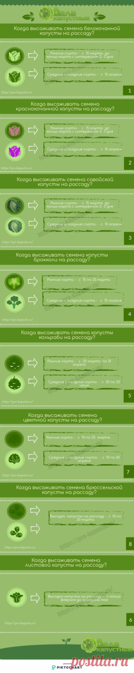 Архивы Рассада - Дела капустные - все о капусте