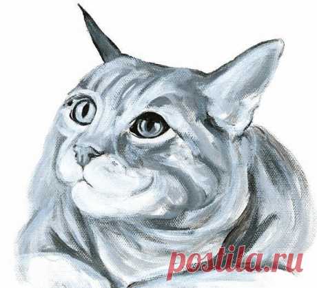 Рисуем кота