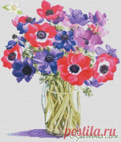 Анемоны в стакане - Маки, анемоны - Цветы - Схемы в XSD - Кладовочка схем - вышивка крестиком