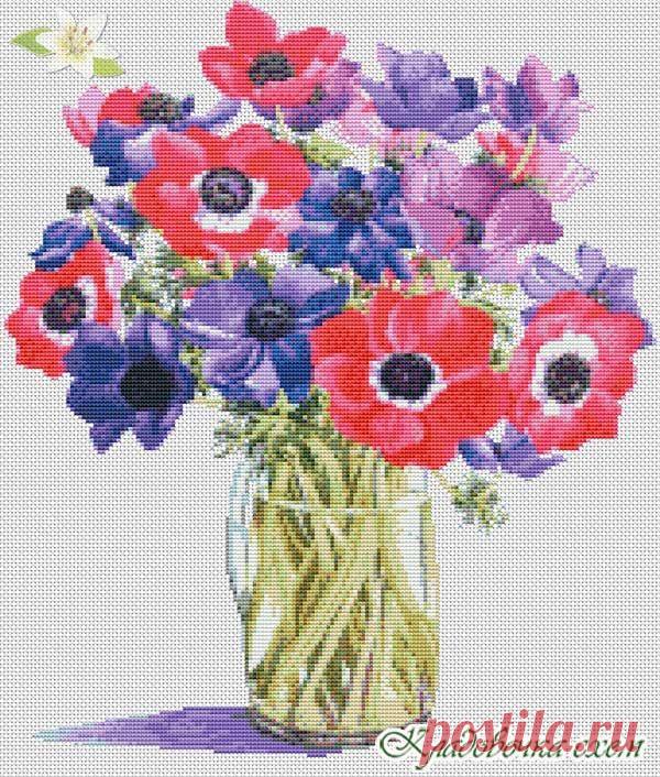 Анемоны в стакане - Маки, анемоны - Цветы - Схемы в XSD - Кладовочка схем - вышивка крестиком