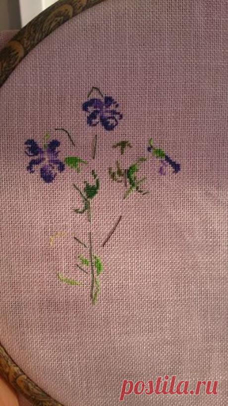 Gallery.ru / Violettes de Nans sous Sainte-Anne - Фиалковый робин или Подарок начальнице - mimidemoiselle