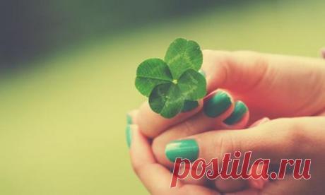 30 примет для счастья и удачи. Следуя старинным приметам, можно отвести любые невзгоды. Благодаря им вы защититесь от порчи и сглаза, привлечете счастье и удачу, любовь и богатство! 1. не кладите хлеб верхней коркой вниз. Режьте хл...