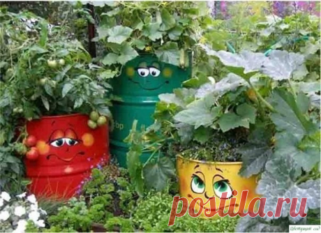 Бочки могут быть крaсивыми и полноценно укрaшaть дaчу!