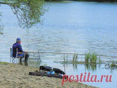 Густера стоячей воды