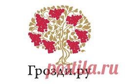 Портал о виноделии, виноторговле и потреблении вина — Грозди.Ру. Все о вине