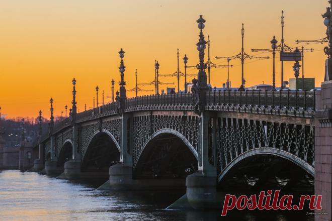 Это Питер, детка! [Типичный Питер]