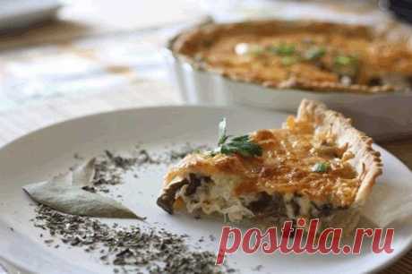 Вкусный до БЕЗУМИЯ и безумно сытный пирог "Курино-грибной жульен"

Простое в приготовлении и вкусное блюдо с красивым названием. На столе пирог со вкусом настоящего жульена выглядит очень эффектно, а классическое сочетание грибов и сметаны никогда не подведет.

Ингредиенты для теста:
- 1 стакан муки
- 1 яйцо
- 120 г масла сливочного
- 50 г сыра
- соль – щепотка

Для начинки:
- 500 г грибов
- 1 куриная грудка
- 150 г сметаны
- 150 г сливок
- 1 столовая ложка муки или крахма...