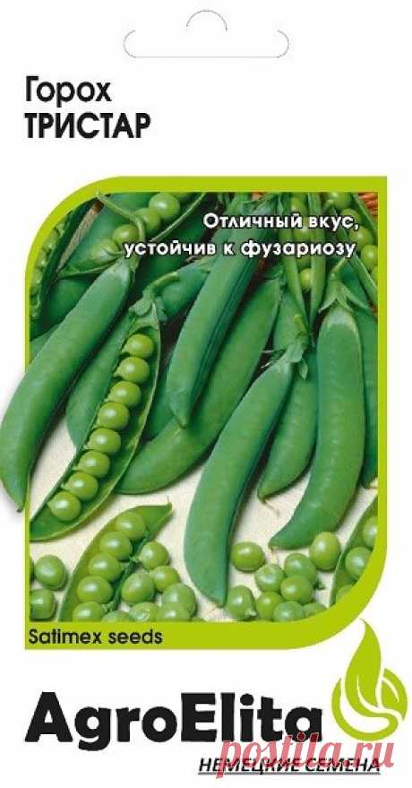 Горох &quot;Тристар&quot;
Среднеспелый – среднепоздний (57-61 день от полных всходов до технической спелости горошка) сорт лущильного гороха.