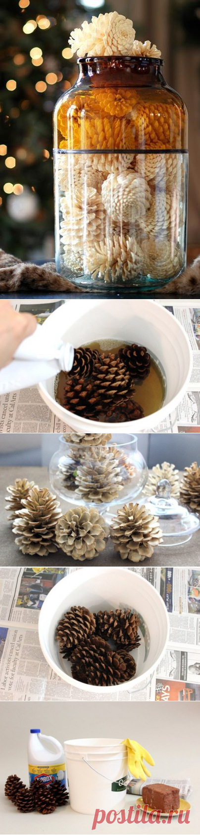 Как отбелить сосновые шишки