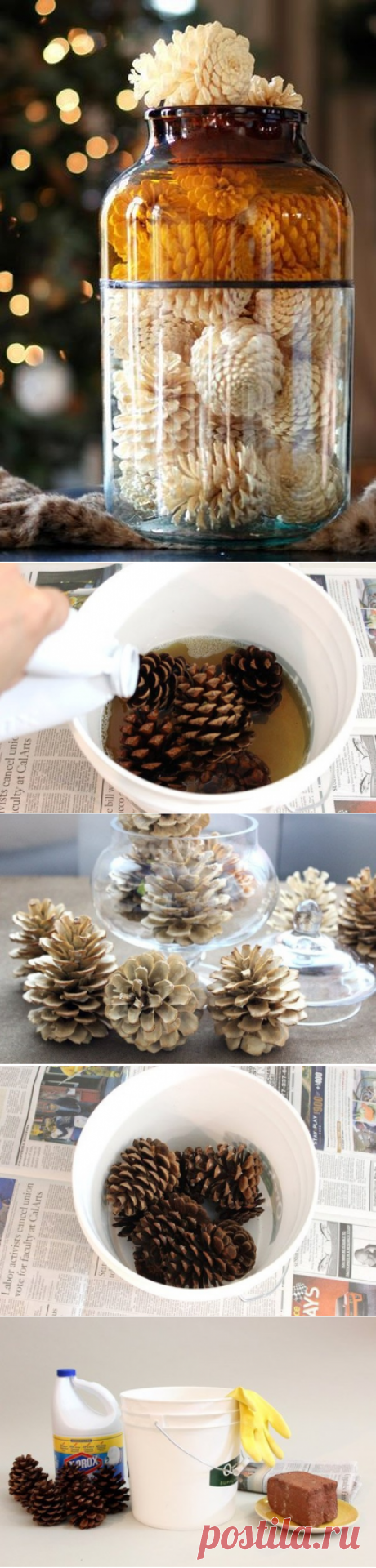 Как отбелить сосновые шишки