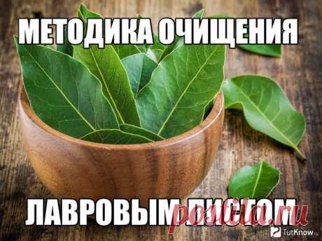 Методика очищения лавровым листом

Лечим позвоночник и больные суставы.

* Возьмите 5 г лаврового листа, залейте 300 мл воды и кипятите в течение 5 минут. 

* Слейте в термос и настаивайте 3-4 часа - настой готов к употреблению. 
* Пить маленькими глотками так, чтобы растянуть процедуру на 12 часов: по 1 ч. ложке каждые 12 минут. 
Ни в коем случае не пейте настой большими дозами или весь сразу! 
Процедуру нужно выполнять: 
* в первый раз 3 дня подряд; 
* через неделю 3-дне...