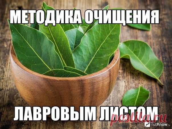 Методика очищения лавровым листом

Лечим позвоночник и больные суставы.

* Возьмите 5 г лаврового листа, залейте 300 мл воды и кипятите в течение 5 минут. 

* Слейте в термос и настаивайте 3-4 часа - настой готов к употреблению. 
* Пить маленькими глотками так, чтобы растянуть процедуру на 12 часов: по 1 ч. ложке каждые 12 минут. 
Ни в коем случае не пейте настой большими дозами или весь сразу! 
Процедуру нужно выполнять: 
* в первый раз 3 дня подряд; 
* через неделю 3-дне...