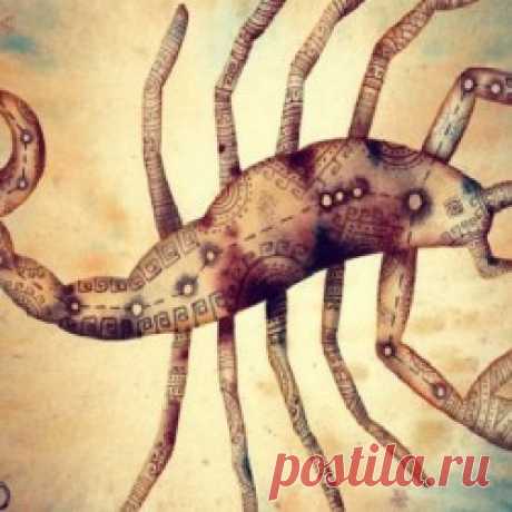 5 причин, почему стоит дружить со Скорпионами. Вот на кого действительно можно положиться!