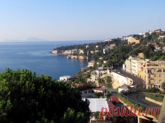 (49) Одноклассники