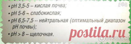 Отзыв о Измеритель влажности, уровня pH почвы и освещенности Planet Garden | Градусник для растений 3 в 1