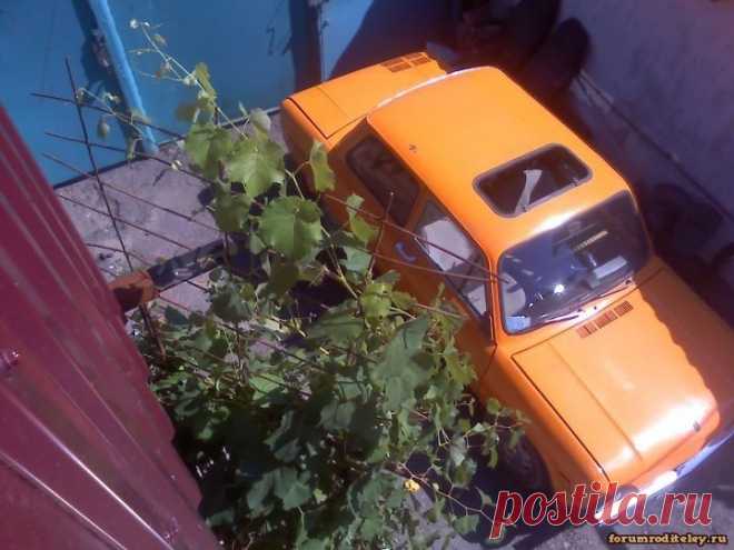 Вид сверху :: forumroditeley.ru - форум родителей и о детях