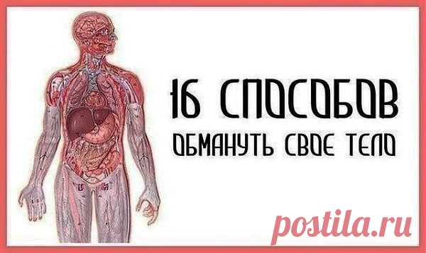 В жизни без советов бывает туго..... | Наш дом
