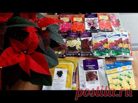 ПОСЕЙТЕ В ДЕКАБРЕ Эти Цветы Чтобы РАНО ВЕСНОЙ ЗАЦВЕЛИ