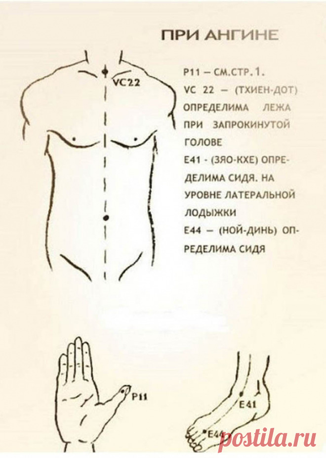 Уникальные свойства бальзама 