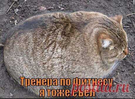 аа