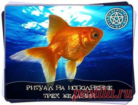 2 непрочитанных чата