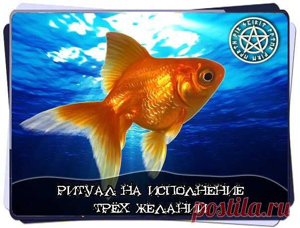2 непрочитанных чата