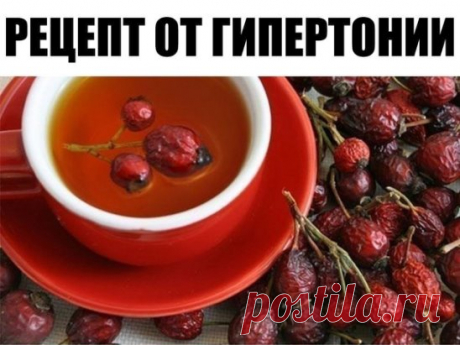 Благодаря маминому рецепту мы с мужем забыли про гипертонию.
Расскажу, как лечила мужа от гипертонии - у него было давление 220/180. Он пил лекарства, делал уколы - помогало, но при этом все его пенсионные уходили на это лечение. Жили на мою пенсию, 
еле сводили концы с концами. Моя мама, глядя на все это, решила зятя лечить иначе. Она у меня была травница, прожила 90 лет. Многому меня научила. Но главное: давление у мужа - ему 69 - держится на отметке 130/90. 
А теперь рецепт. В трехлитровую