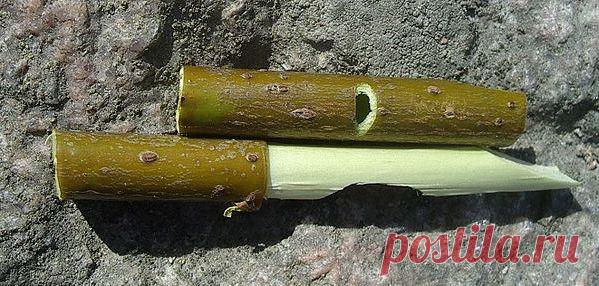 Как Сделать Свисток Уиллоу albertajfwca - dinocro.info