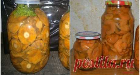 Маринованные рыжики с корицей. Соленые рыжики