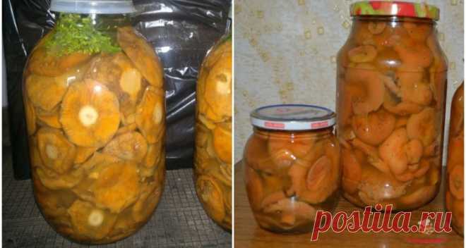 Маринованные рыжики с корицей. Соленые рыжики