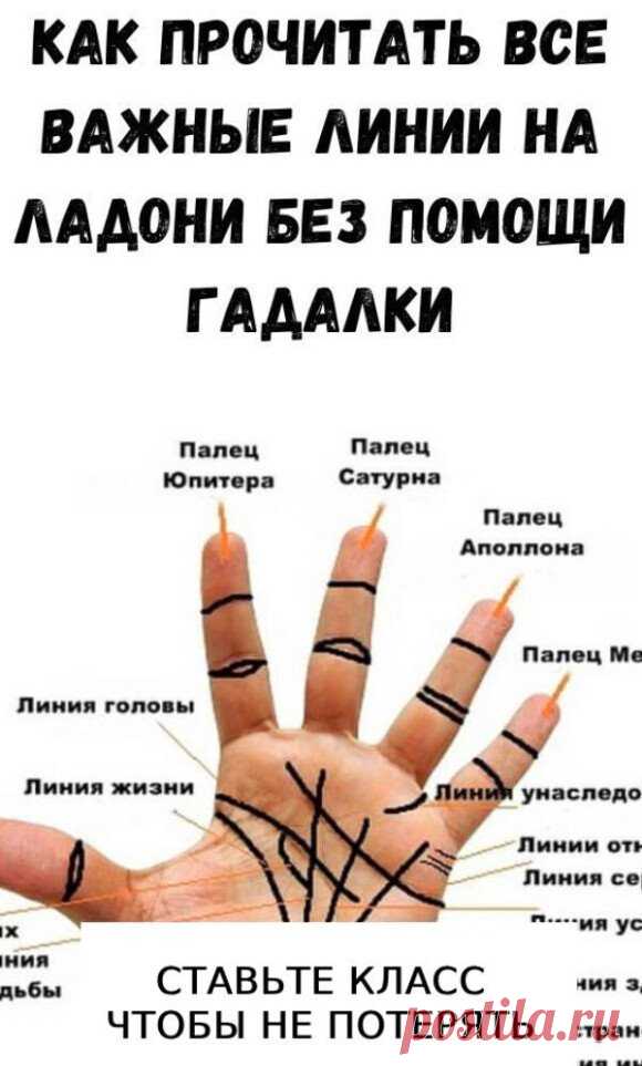 Выберите руку. В хиромантии считается, что: У женщин правая рука показывает...ЧИТАТЬ ПОЛНОСТЬЮ
