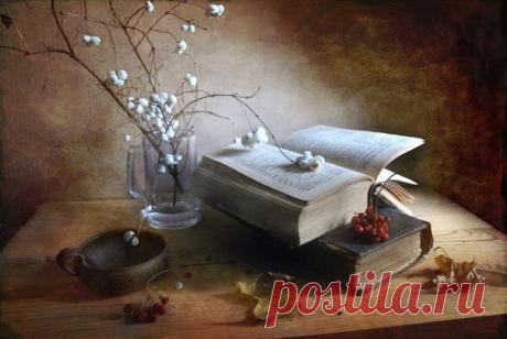 Фото дня на «Фото.Сайте»
«снежноягодник» (Наталья)

Другие работы автора: www.photosight.ru/users/439995/