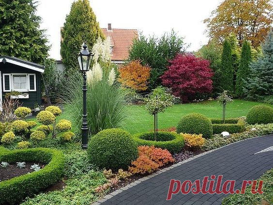 Идея для садового ландшафта. Ландшафтный дизайн