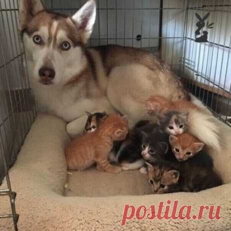 Попросили посидеть с детьми