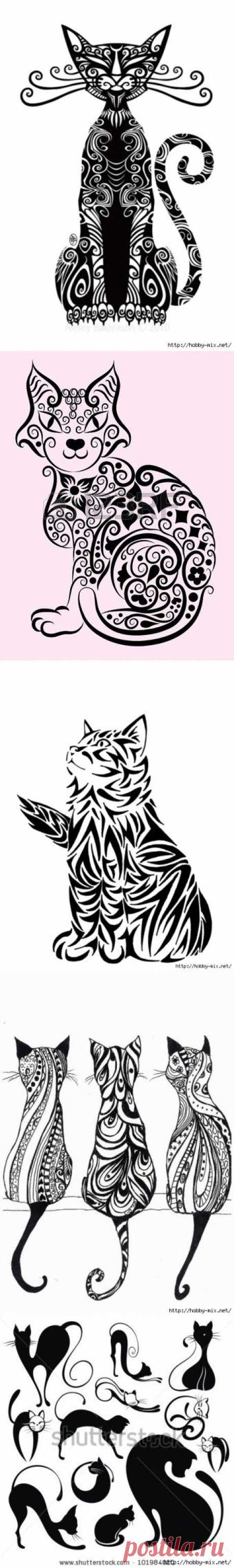 Кошки....